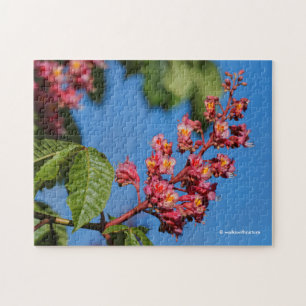 Rosa Horse Chestnut Blommar Pussel