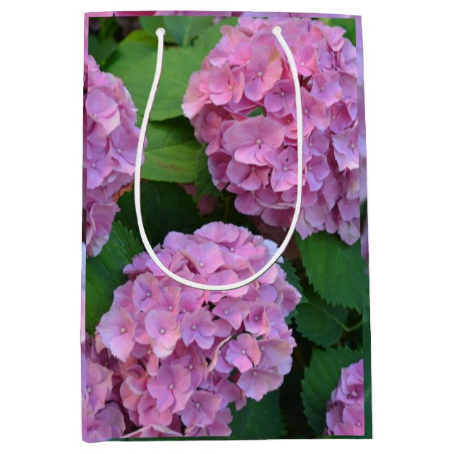 Rosa Hortensia hydrangea bush (Framsidan)