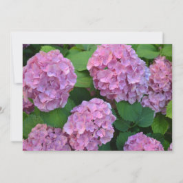 Rosa Hortensia hydrangea bush Inbjudningar