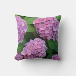 Rosa Hortensia hydrangea bush Kudde