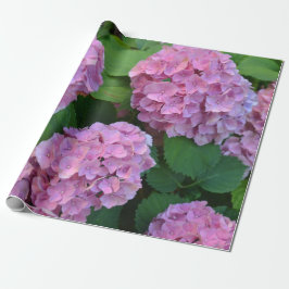 Rosa Hortensia hydrangea bush Presentpapper