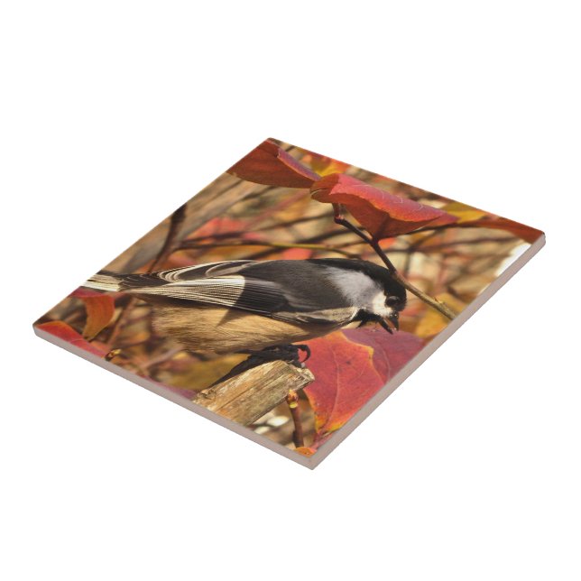 Rosa Höst löv med Chickadee Bird Kakelplatta (Sidan)