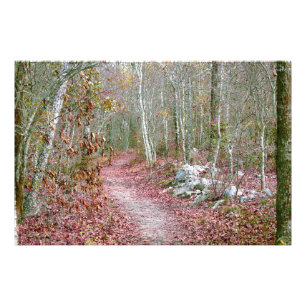Rosa höstlöv Goat Rock Trail Arkansas Fototryck