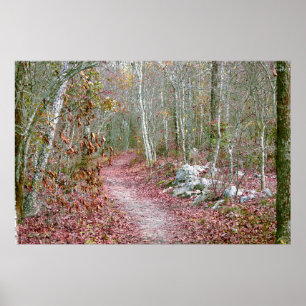 Rosa höstlöv Goat Rock Trail Arkansas Poster