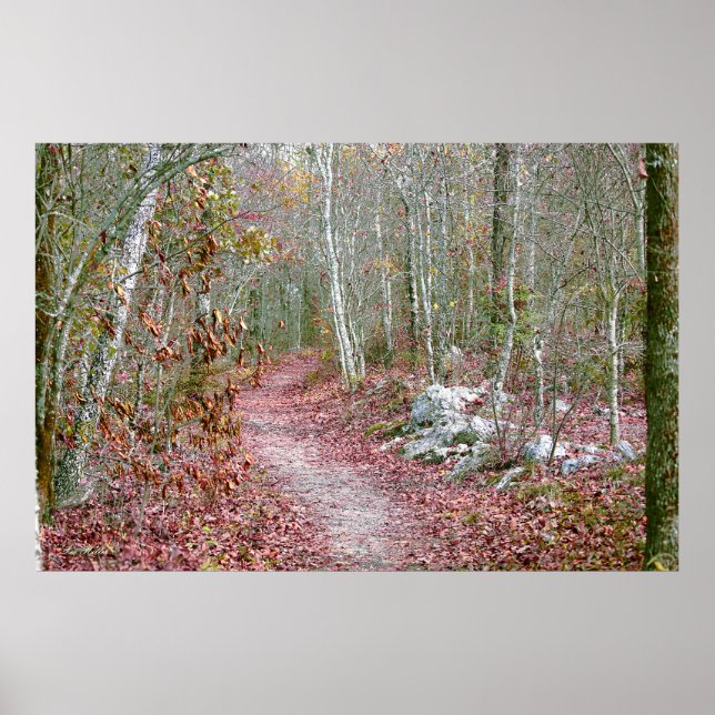 Rosa höstlöv Goat Rock Trail Arkansas Poster (Framsidan)
