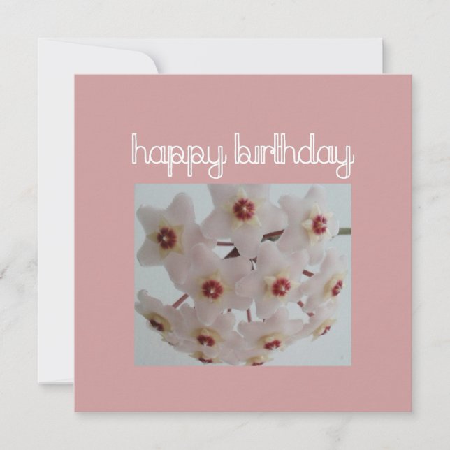 Rosa Hoya Flower Birthday Kort (Framsida)