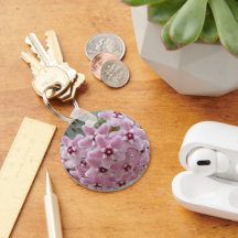 Rosa Hoya Plant Flowers Blommigt