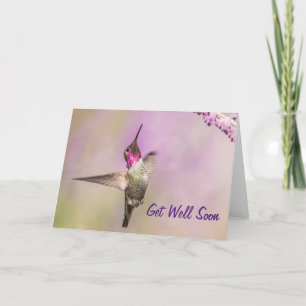 Rosa Hummingbird på flyget kommer snart Kort