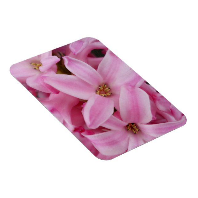 rosa hyacinblomma magnet (Högersidan)