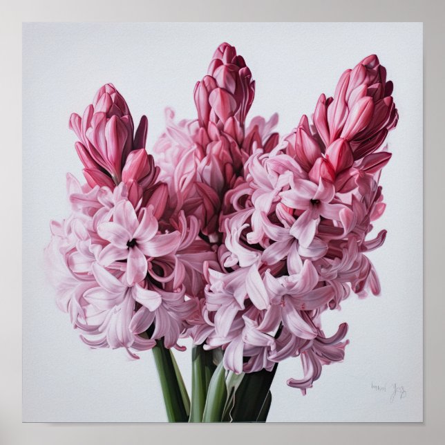 Rosa Hyacint Flower Art Print Poster (Framsidan)