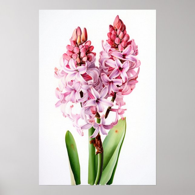Rosa Hyacint Flower Art Print Poster (Framsidan)