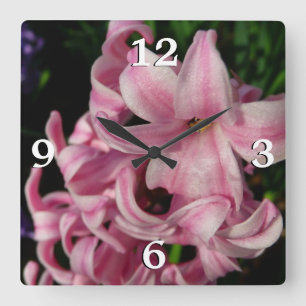 Rosa Hyacinth Vår Blommigt Fyrkantig Klocka