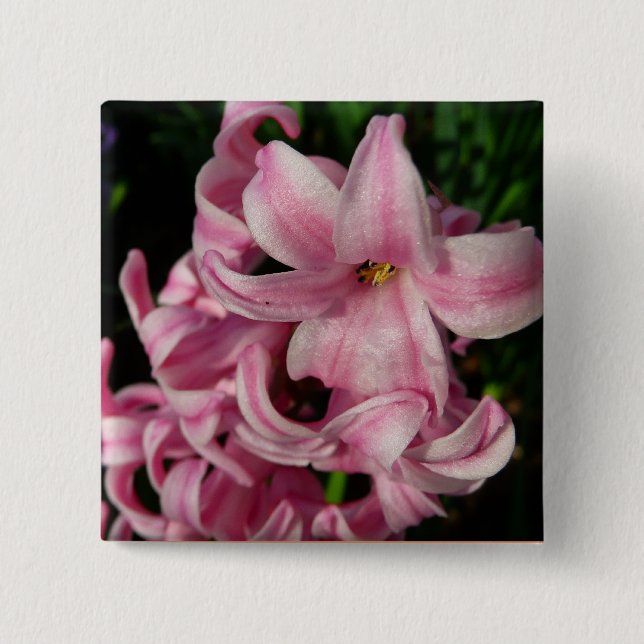 Rosa Hyacinth Vår Blommigt Knapp (Framsida)