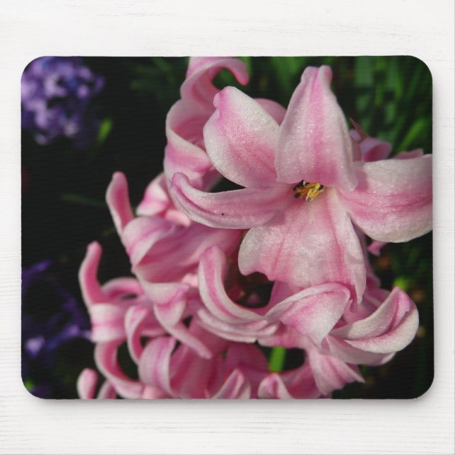 Rosa Hyacinth Vår Blommigt Musmatta (Framsidan)