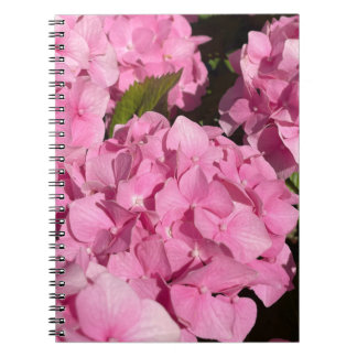 Rosa Hydrangea Anteckningsbok