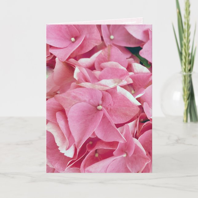 Rosa Hydrangea Birthday Kort (Framsida)