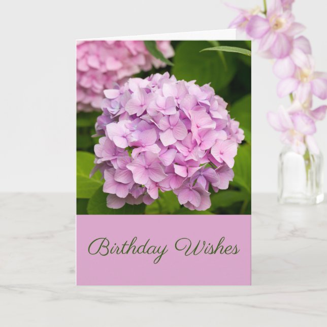 Rosa Hydrangea Birthday Önskemål Hälsning Kort (Orkide)