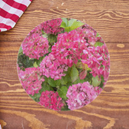 Rosa Hydrangea Blooms Blommigt