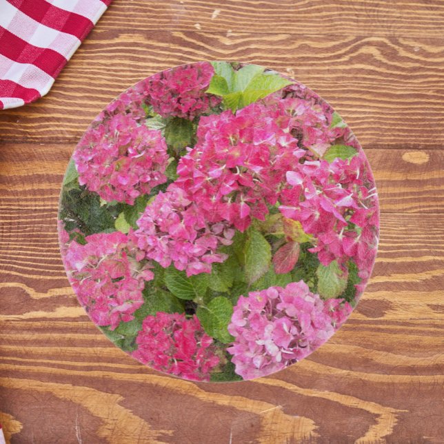 Rosa Hydrangea Blooms Blommigt (In Situ)