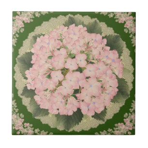 Rosa Hydrangea Blooms Blommigt Ceramic Tile Kakelplatta