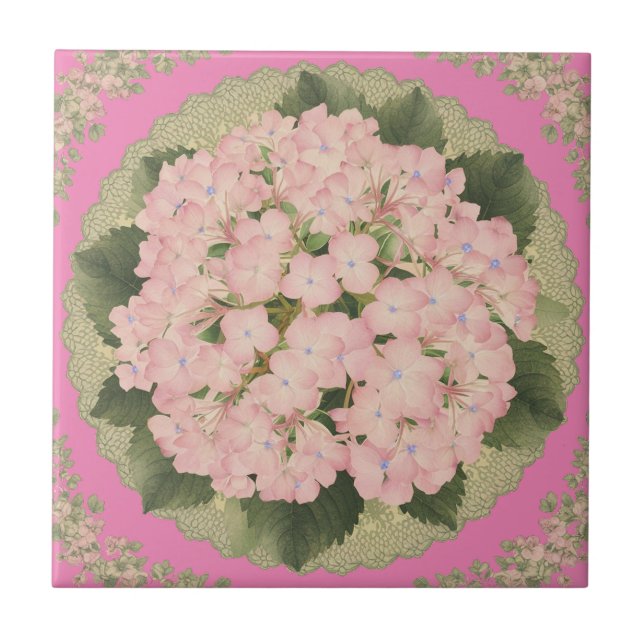 Rosa Hydrangea Blooms Blommönster Ceramic Tile Kakelplatta (Framsidan)