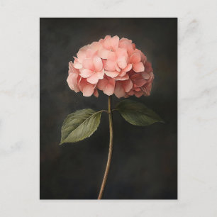 Rosa Hydrangea Botanisk målning Vykort