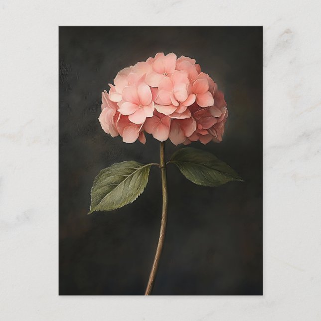 Rosa Hydrangea Botanisk målning Vykort (Framsida)