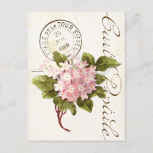 Rosa Hydrangea Carte Postale Flower Vintage Fransk Vykort