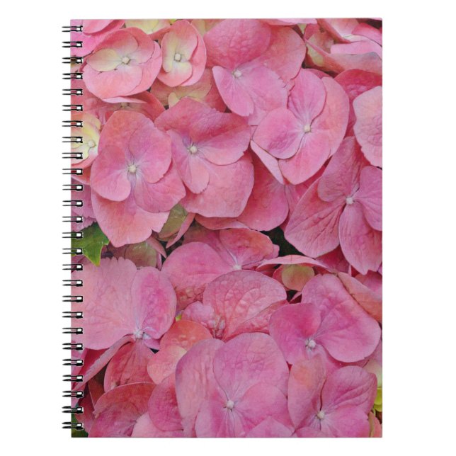 Rosa Hydrangea Flowers Journal bärbar dator Anteckningsbok (Framsidan)