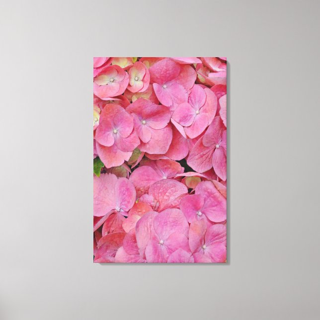 Rosa Hydrangea Flowers Photographic Art Canvastryck (Framsida)