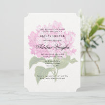 Rosa Hydrangea GrandMillennium Möhippa