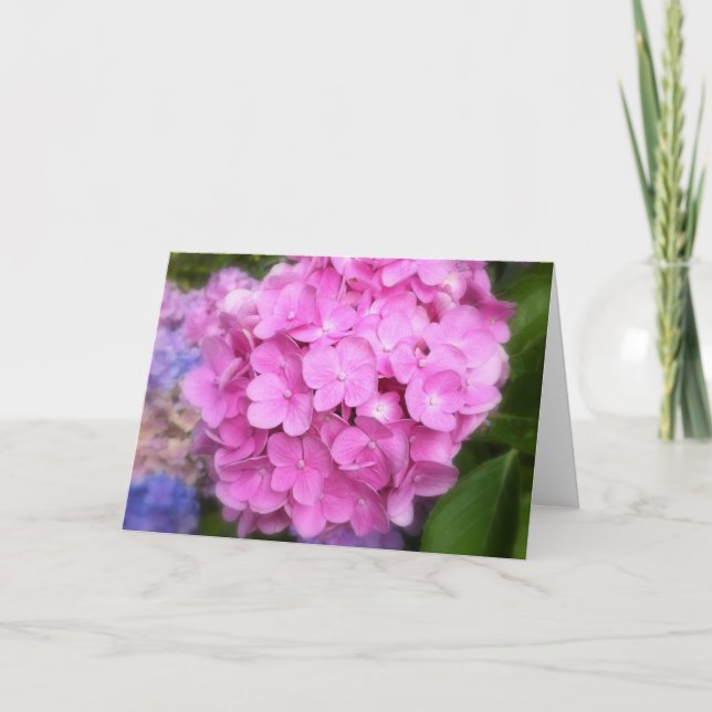 Rosa Hydrangea Greeting Card Kort (Framsida)