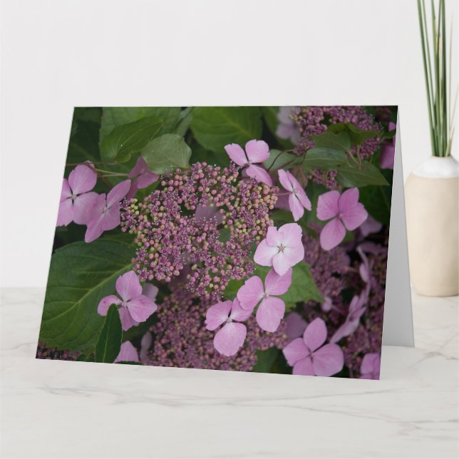 Rosa Hydrangea Kort (Framsida)