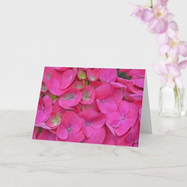 Rosa Hydrangea Petals Close Up Art Note Card Kort (Orkide)