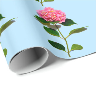 Rosa Hydrangea rosa blommigt rosa blomma Presentpapper