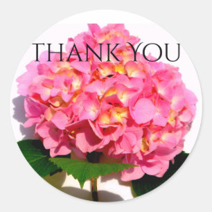 Rosa Hydrangea rosa blommigt rosa blomma Runt Klistermärke