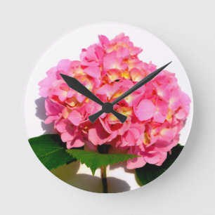 Rosa Hydrangea rosa Blomrosa blommigt Rund Klocka