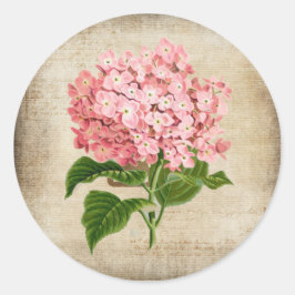 Rosa Hydrangea Runt Klistermärke