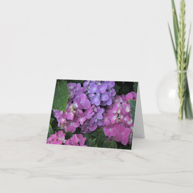 Rosa Hydrangea Tack Kort (Framsida)
