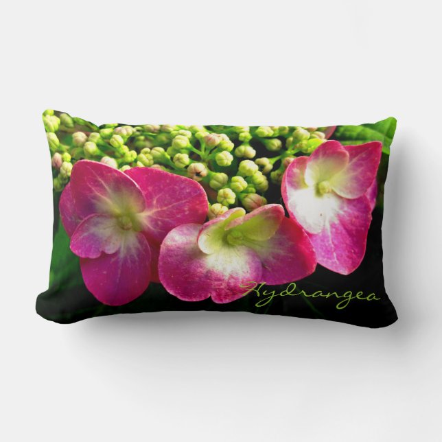 Rosa Hydrangea Triplets Lumbar Pillow Lumbarkudde (Framsida)
