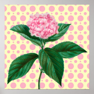 Rosa Hydrangea Vintage Retro Art Flower Poster