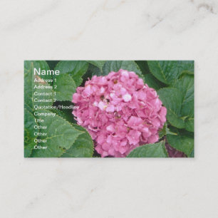 Rosa Hydrangea Visitkort