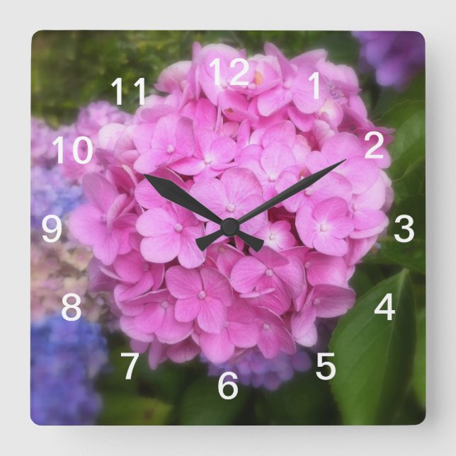 Rosa Hydrangea Wall Clock Fyrkantig Klocka (Framsida)