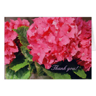 Rosa Hydrangeas Hälsningskort