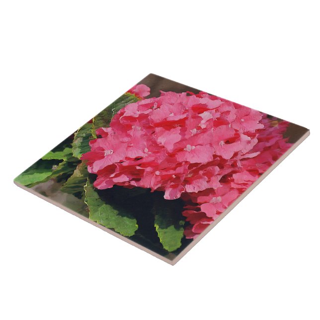 Rosa Hydrangeas Kakelplatta (Sidan)