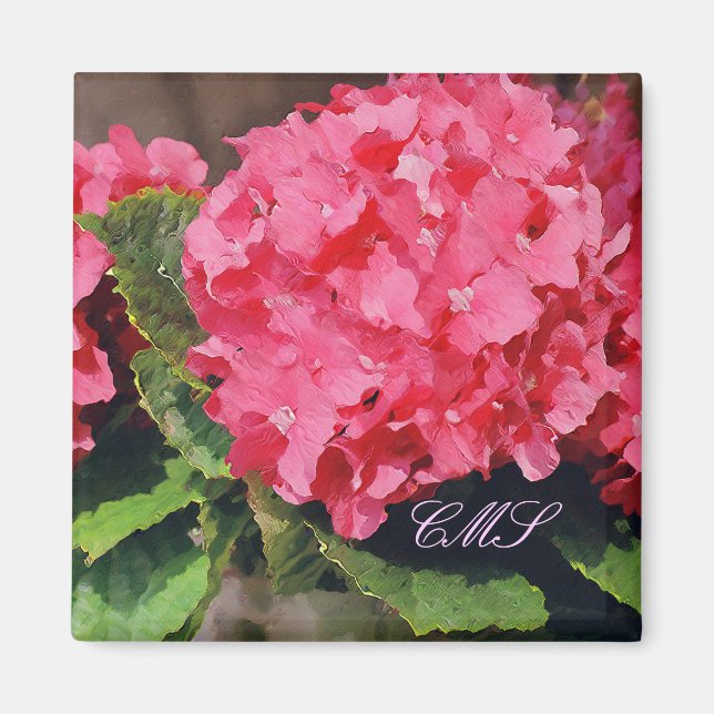 Rosa Hydrangeas Magnet (Framsidan)
