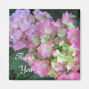 Rosa Hydrangeas Tack Magnet