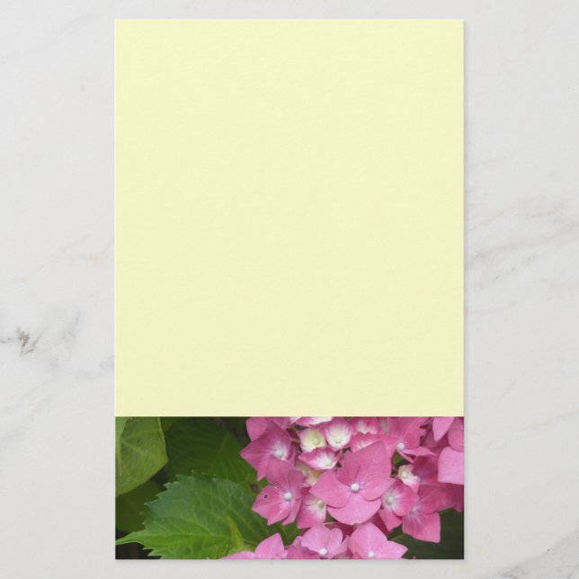 Rosa Hydrangeor Brevpapper (Framsida)