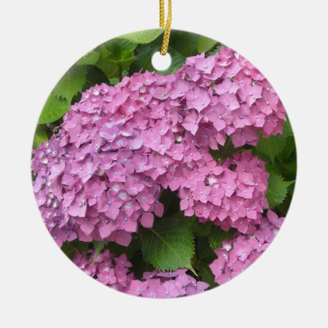 Rosa Hydrangeor Julgransprydnad Keramik (Framsidan)