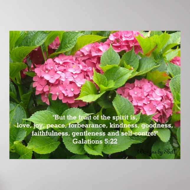 Rosa Hydrangeor med Skriftställe Poster (Framsidan)